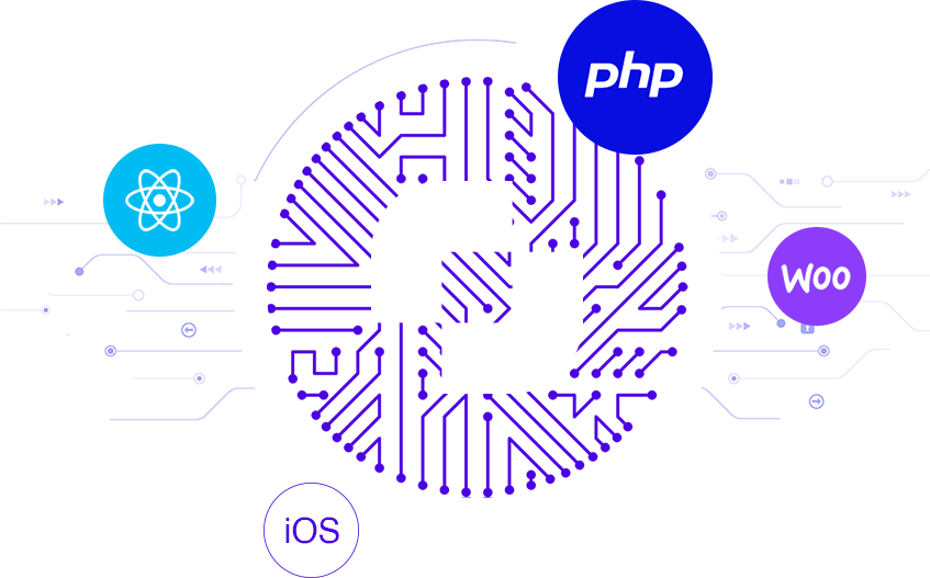 Elixerr - Innovation in IT and Digital Solutions